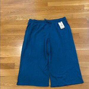 NWT Terra & sky women’s turquoise knit Capri size 1X (16W-18W).